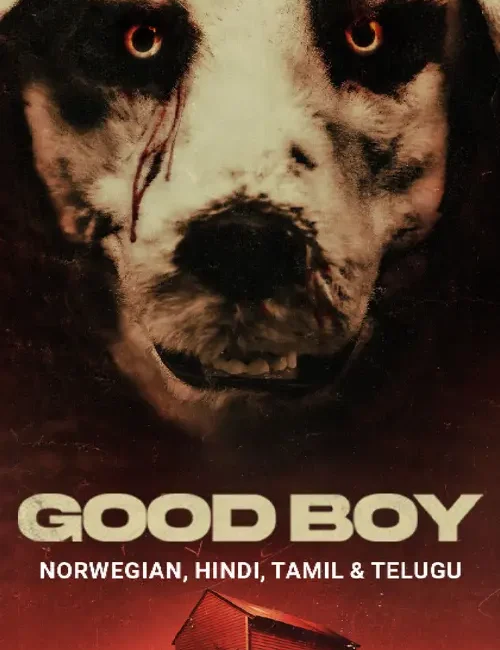 Good Boy_Filmy Gossips